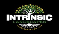 Intrinsic Landscapes